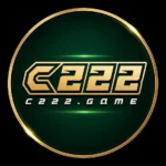 C222 Game